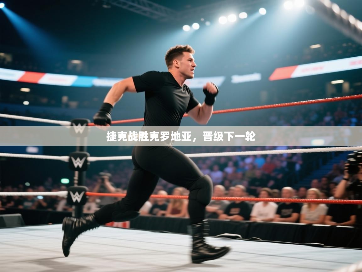 捷克战胜克罗地亚,晋级下一轮 第2张