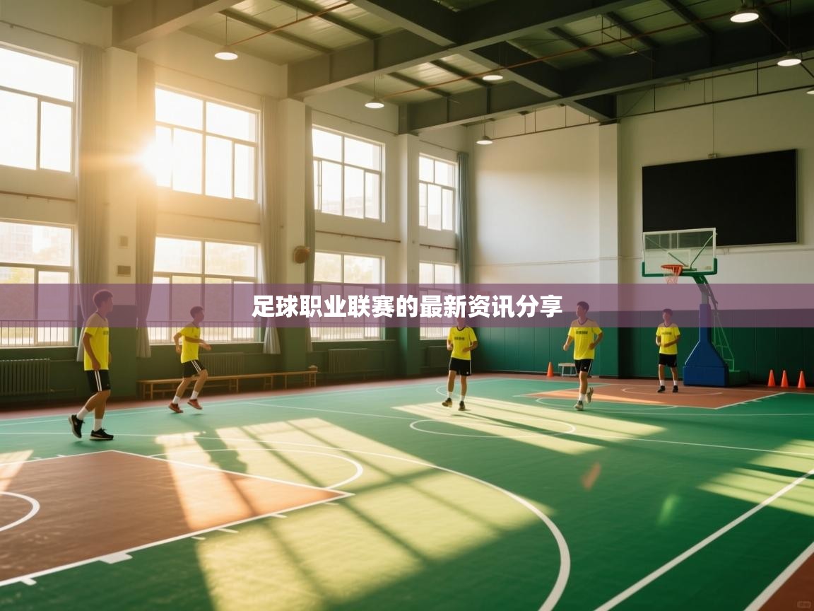 足球职业联赛的最新资讯分享  第2张