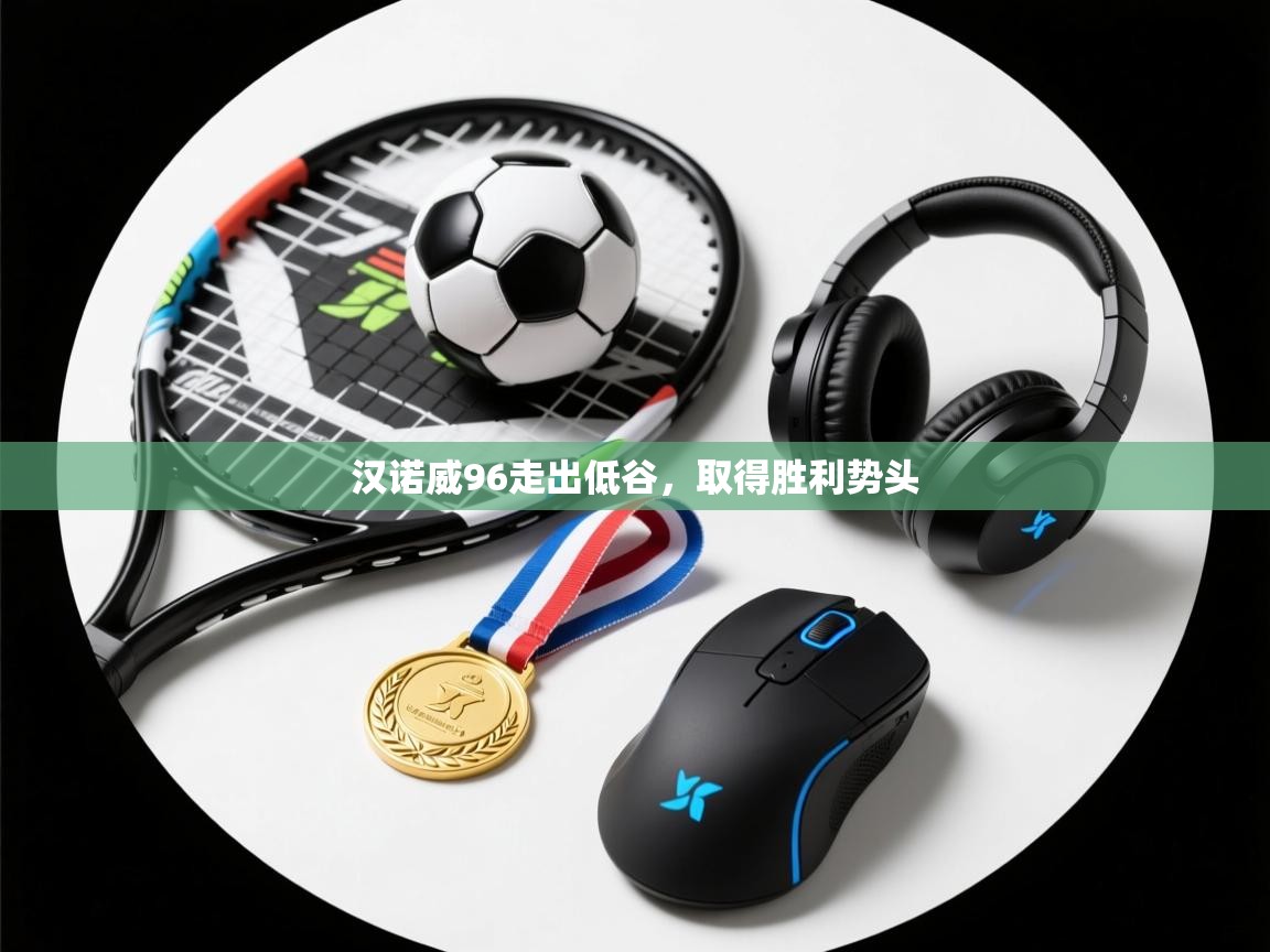 汉诺威96走出低谷,取得胜利势头 第2张