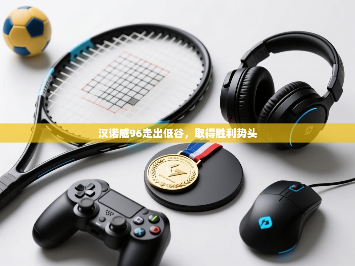 汉诺威96走出低谷,取得胜利势头 第1张