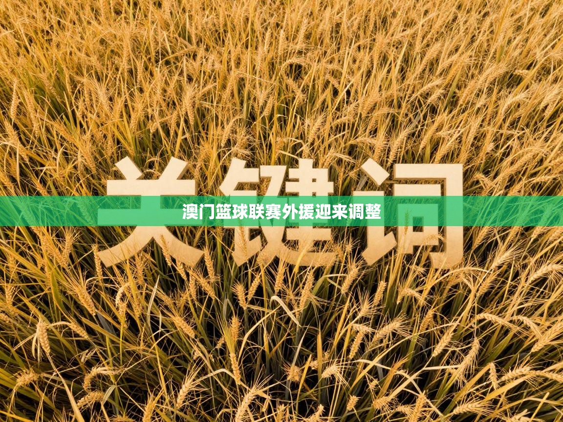 澳门篮球联赛外援迎来调整  第1张