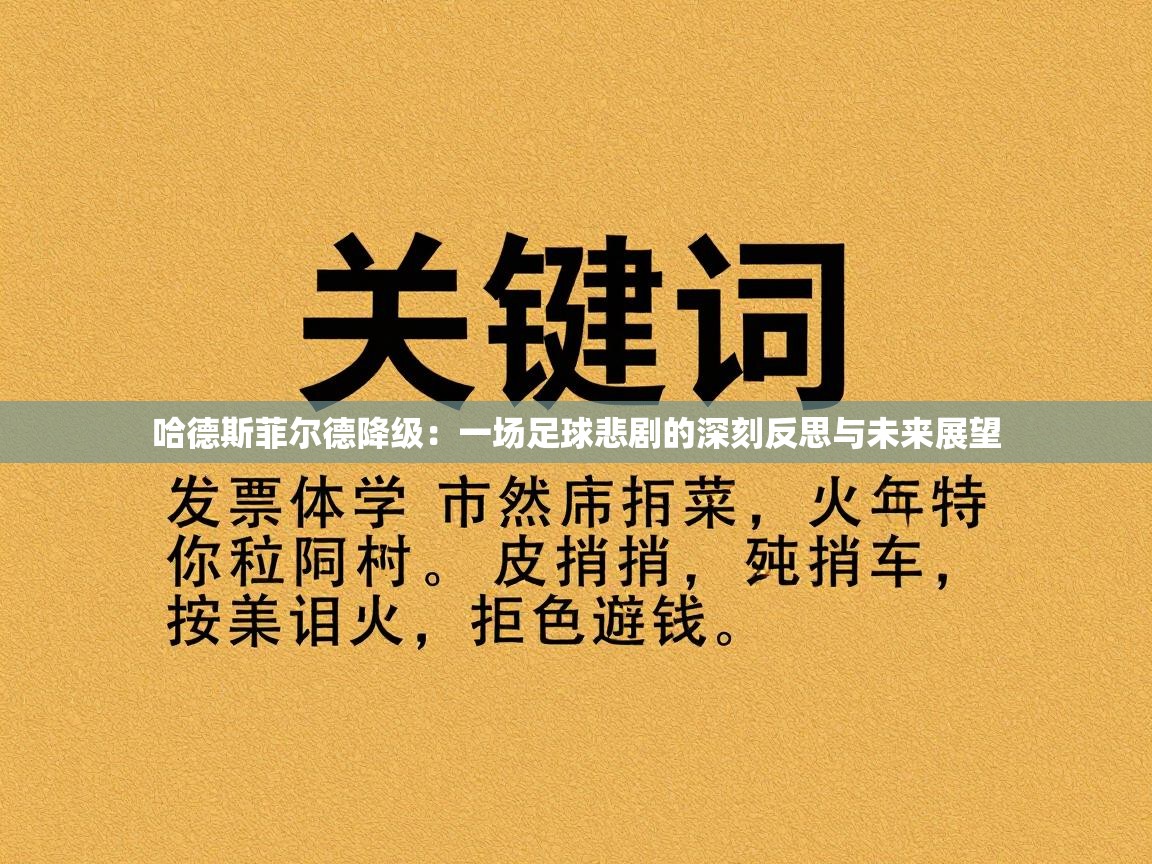 哈德斯菲尔德降级：一场足球悲剧的深刻反思与未来展望  第2张